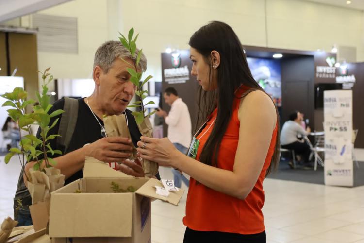 Governo distribui mudas de árvores nativas em encontro com prefeitos