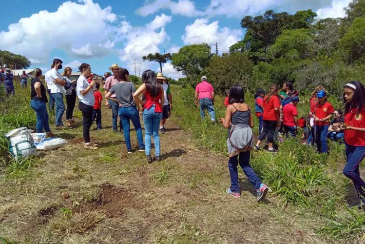 Dia do Rio é marcado com plantio de 100 mil mudas nas margens das bacias hidrográficas Foto: IAT