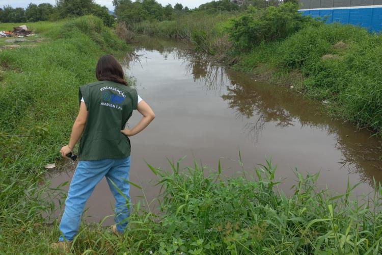 Instituto Água e Terra investiga duas denúncias ambientais em Paranaguá