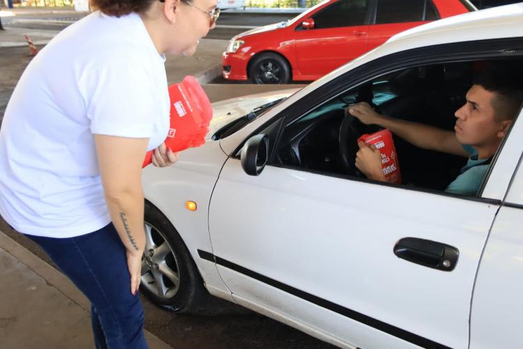 Paraná está na campanha nacional para prevenir atropelamentos de animais silvestres nas rodovias