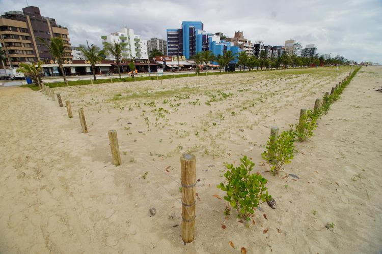 Revitalização da orla vai ampliar em quase cinco vezes a área de restinga nativa de Matinhos