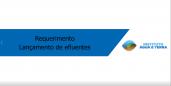 Requerimento lançamento de efluentes