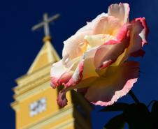 Santuários e celebrações compõem o turismo religioso do Paraná