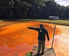 Instituto Água e Terra monitora danos ambientais causado por vazamento de gasolina em São José dos Pinhais