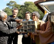 programa Voo Livre