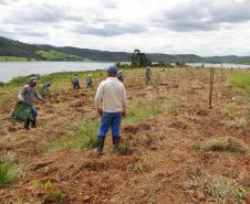 Restauração da área degradada