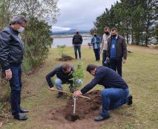 Represa do Iraí recebe mudas nativas e simboliza plantio em todo o Estado 