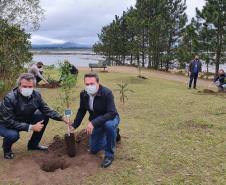 Represa do Iraí recebe mudas nativas e simboliza plantio em todo o Estado 