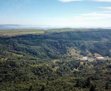 Para não perder o ICMS Ecológico, municípios têm de cadastrar áreas de conservação até 15 de março.