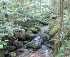 Governo do Paraná destaca papel das RPPNs na conservação da biodiversidade