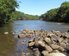 Governo do Paraná destaca papel das RPPNs na conservação da biodiversidade
