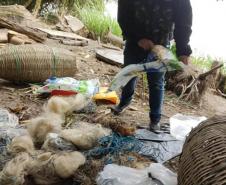 Pesca ilegal: Estado finaliza a Piracema com 23 flagrantes e quase R$ 450 mil em multas