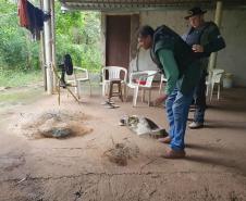 Operação do IAT no Rio Paraná busca combater a prática da pesca ilegal. Foram recolhidos materiais proibidos e aplicadas multas