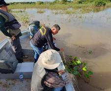 Operação do IAT no Rio Paraná busca combater a prática da pesca ilegal. Foram recolhidos materiais proibidos e aplicadas multas