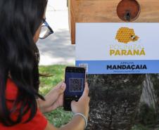 O governador do Paraná, Carlos Massa Ratinho Junior, inaugura o jardim de colmeias de abelhas nativas e a horta orgânica no Palácio Iguaçu.