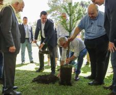 O governador do Paraná, Carlos Massa Ratinho Junior, inaugura o jardim de colmeias de abelhas nativas e a horta orgânica no Palácio Iguaçu.