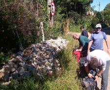 Mutirão voluntário com apoio técnico do Instituto Água e Terra (IAT) vai restaurar e revitalizar a trilha que dá acesso ao Morro Pão de Loth, um dos principais atrativos do Parque Estadual da Serra da Baitaca.