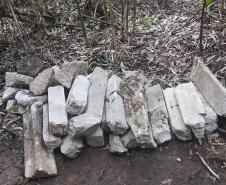 Mutirão voluntário com apoio técnico do Instituto Água e Terra (IAT) vai restaurar e revitalizar a trilha que dá acesso ao Morro Pão de Loth, um dos principais atrativos do Parque Estadual da Serra da Baitaca.