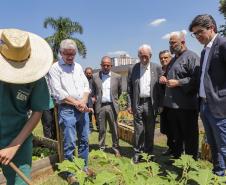 O governador do Paraná, Carlos Massa Ratinho Junior, inaugura o jardim de colmeias de abelhas nativas e a horta orgânica no Palácio Iguaçu.