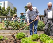 O governador do Paraná, Carlos Massa Ratinho Junior, inaugura o jardim de colmeias de abelhas nativas e a horta orgânica no Palácio Iguaçu.