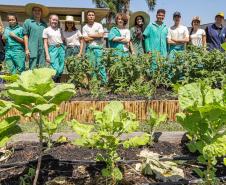 O governador do Paraná, Carlos Massa Ratinho Junior, inaugura o jardim de colmeias de abelhas nativas e a horta orgânica no Palácio Iguaçu.