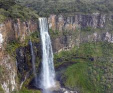 Paraná anuncia expansão de área verde com novas Unidades de Conservação