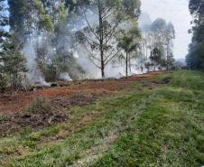 Ação queimada controlada no Parque Estadual de Vila Velha reuniu quase 300 bombeiros militares.