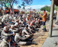 Ação queimada controlada no Parque Estadual de Vila Velha reuniu quase 300 bombeiros militares.