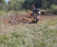 Ação queimada controlada no Parque Estadual de Vila Velha reuniu quase 300 bombeiros militares.