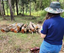 Mais 16 profissionais foram convocados para integrar o quadro de servidores do Instituto Água e Terra nesta segunda chamada do concurso de 2021