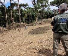 Mais 16 profissionais foram convocados para integrar o quadro de servidores do Instituto Água e Terra nesta segunda chamada do concurso de 2021