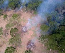 Estado aplica R$ 3,6 milhões em multas por desmatamento de 462 hectares nos Campos Gerais