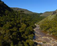 De acordo com levantamento da Diretoria de Patrimônio Natural do Instituto Água e Terra (IAT), 209.812 mil turistas passaram pelos complexos ambientais do Paraná nos primeiros quatro meses de 2023