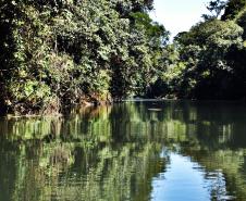 Rio das Cinzas, em Arapoti, no Norte Pioneiro do Paraná