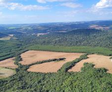 Foto aérea de área desmatada