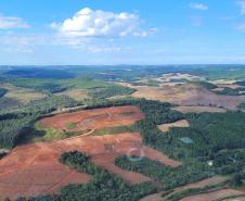 Foto aérea de área desmatada