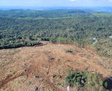 Foto aérea de área desmatada