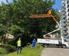 Operários em caminhão replantando grama