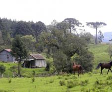 Foto de propriedade rural com cavalos