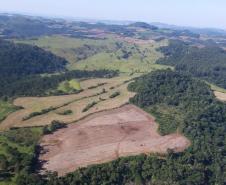 Foto aérea de área desmatada