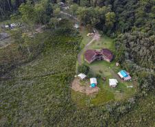 Foto aérea de floresta