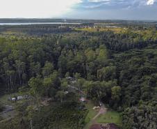 Foto aérea de floresta