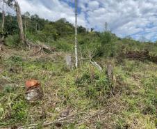 Fiscais do Instituto Água e Terra (IAT) detectaram 245,42 hectares de vegetação nativa retirada ilegalmente e emitiram 167 Autos de Infração Ambiental no Sudoeste do Paraná