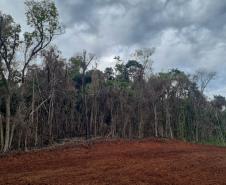 Fiscais do Instituto Água e Terra (IAT) detectaram 245,42 hectares de vegetação nativa retirada ilegalmente e emitiram 167 Autos de Infração Ambiental no Sudoeste do Paraná