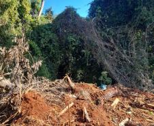 Fiscais do Instituto Água e Terra (IAT) detectaram 245,42 hectares de vegetação nativa retirada ilegalmente e emitiram 167 Autos de Infração Ambiental no Sudoeste do Paraná