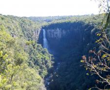 Foto aérea de floresta com cachoeira