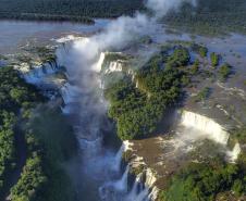 Foto aérea de floresta com cachoeira