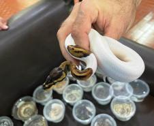 IAT e Unioeste renovaram por mais um ano o convênio que permite o funcionamento do Centro de Atendimento à Fauna Silvestre (CAFS) de Guarapuava