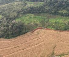 Operação do IAT identifica 17 hectares de desmatamento ilegal na região Oeste