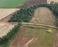 Operação do IAT identifica 17 hectares de desmatamento ilegal na região Oeste